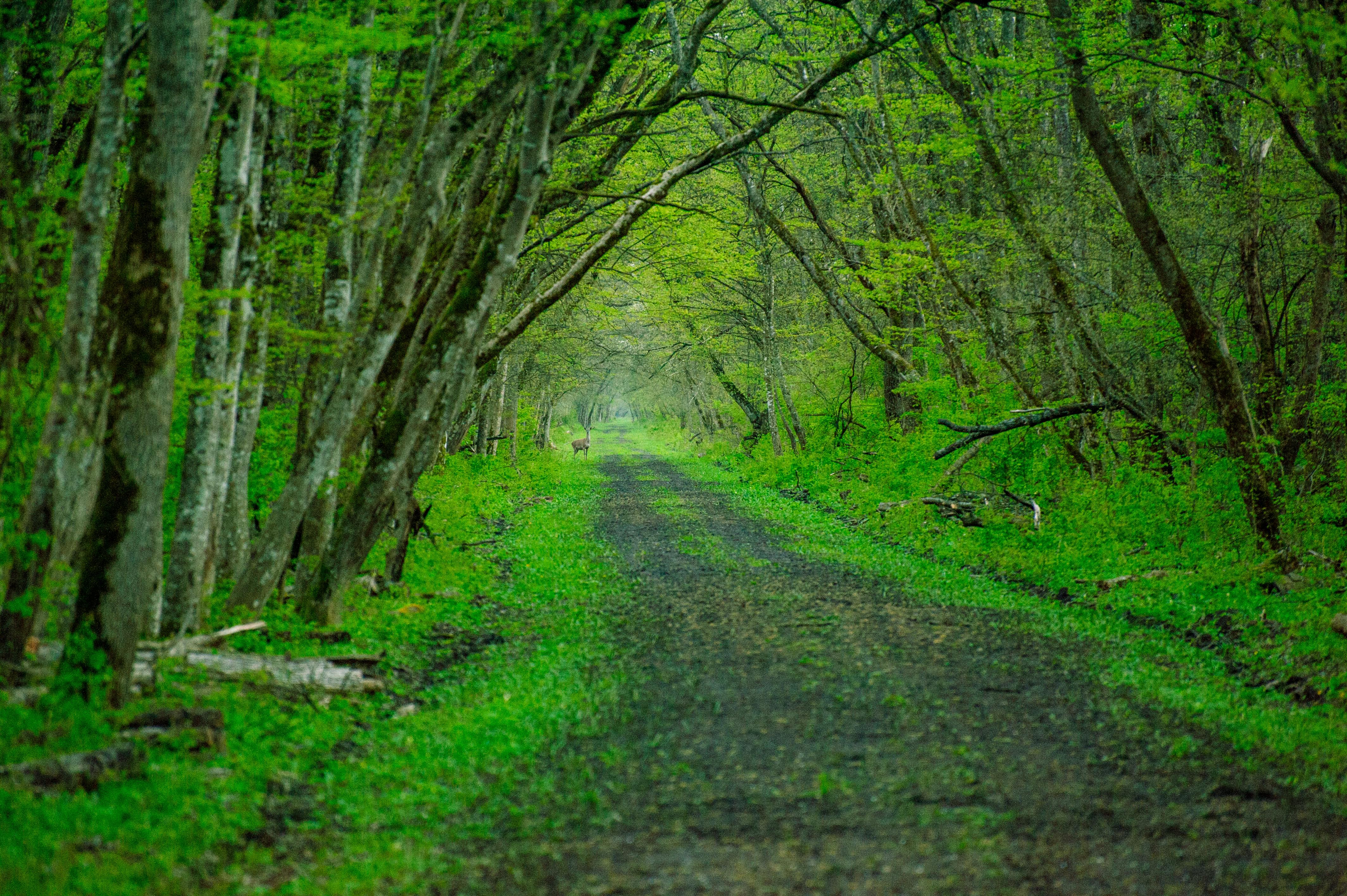 Get Ready for Spring Adventures at the Erie RV and Outdoor Adventure Show — Photo by Александр Трифанов on Pexels