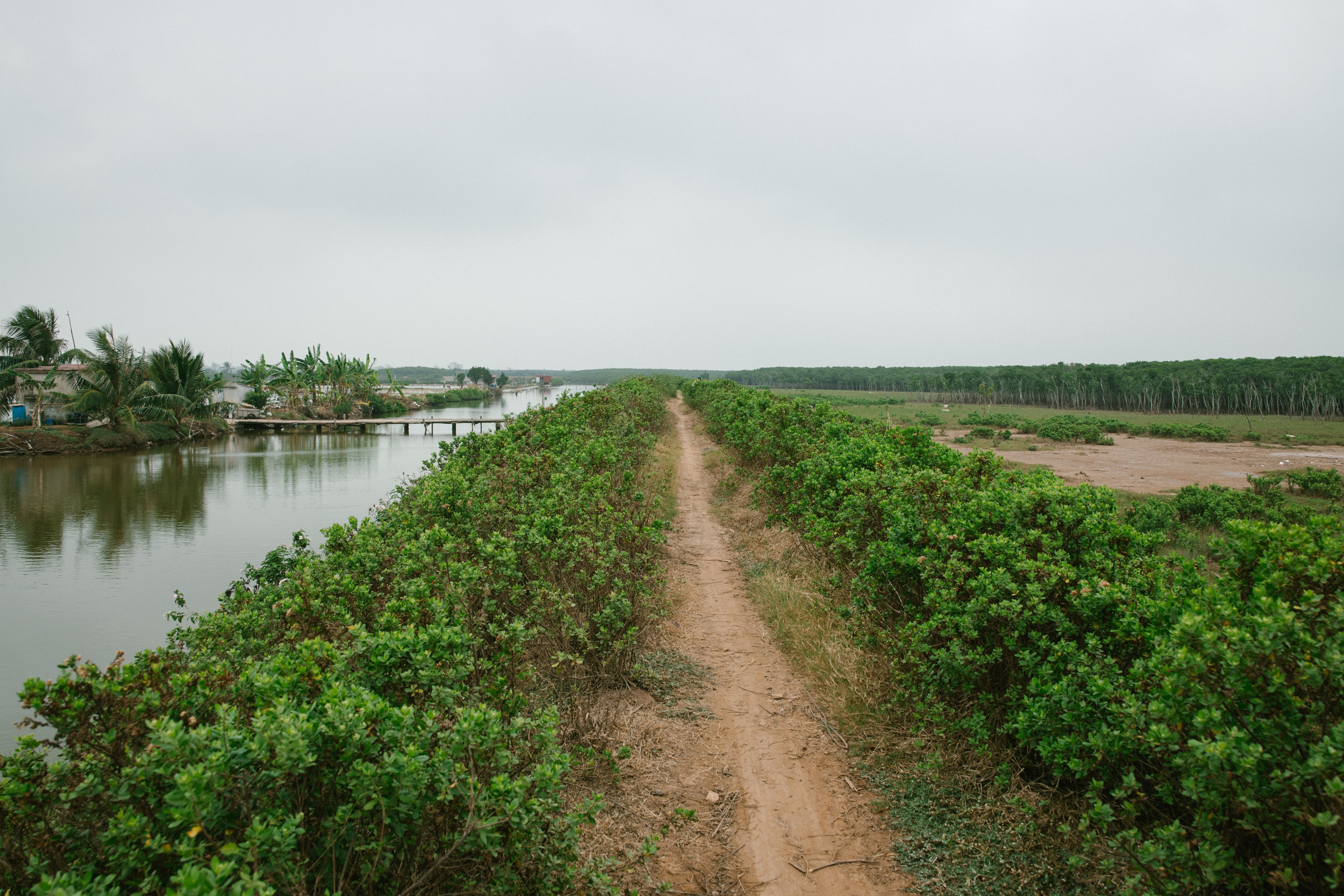 peaceful forest path near Volta River in Ho region