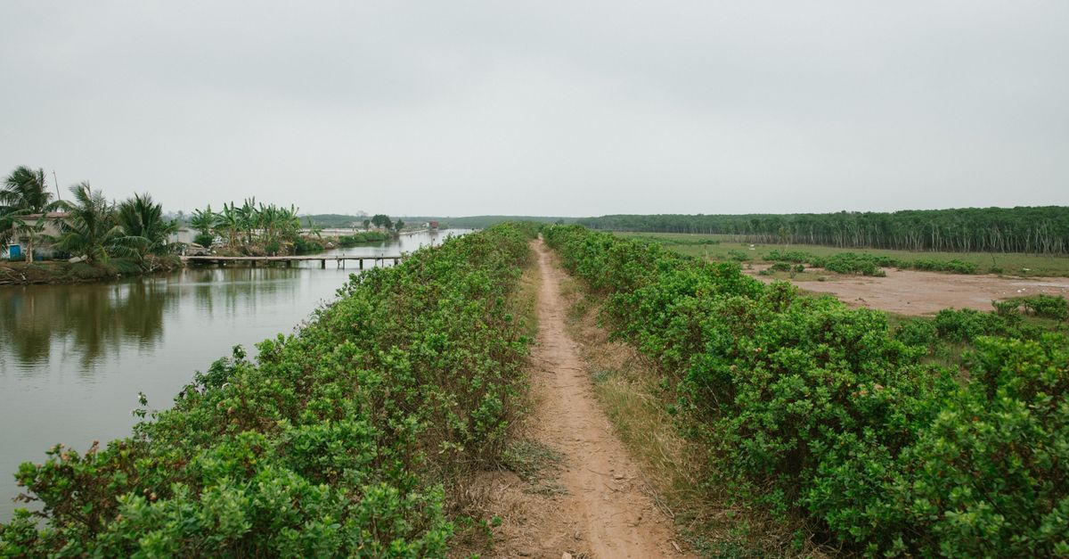 peaceful forest path near Volta River in Ho region