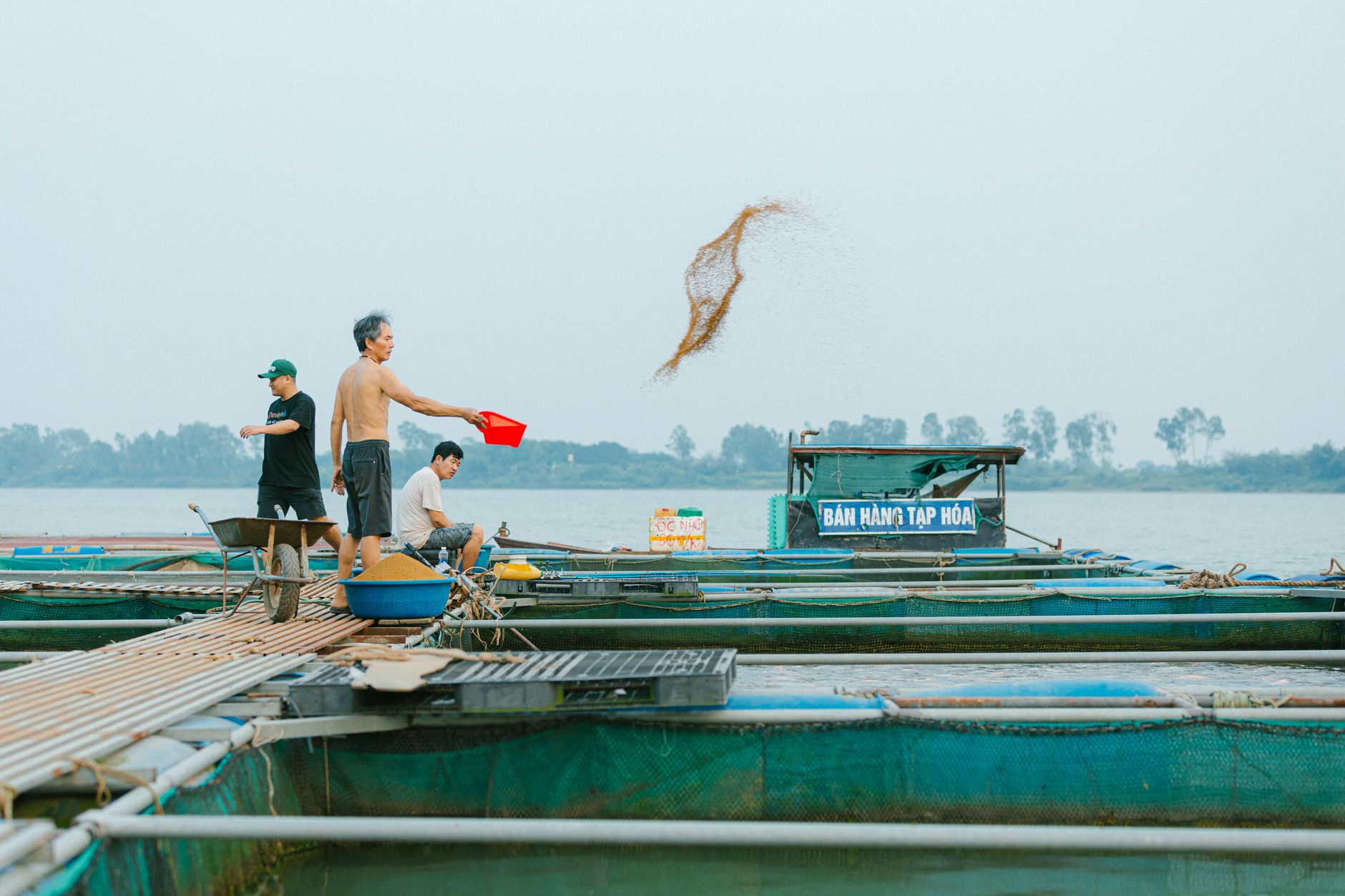 A group of fishermen feed fish on a floating fish farm on a river, showcasing traditional aquaculture methods.