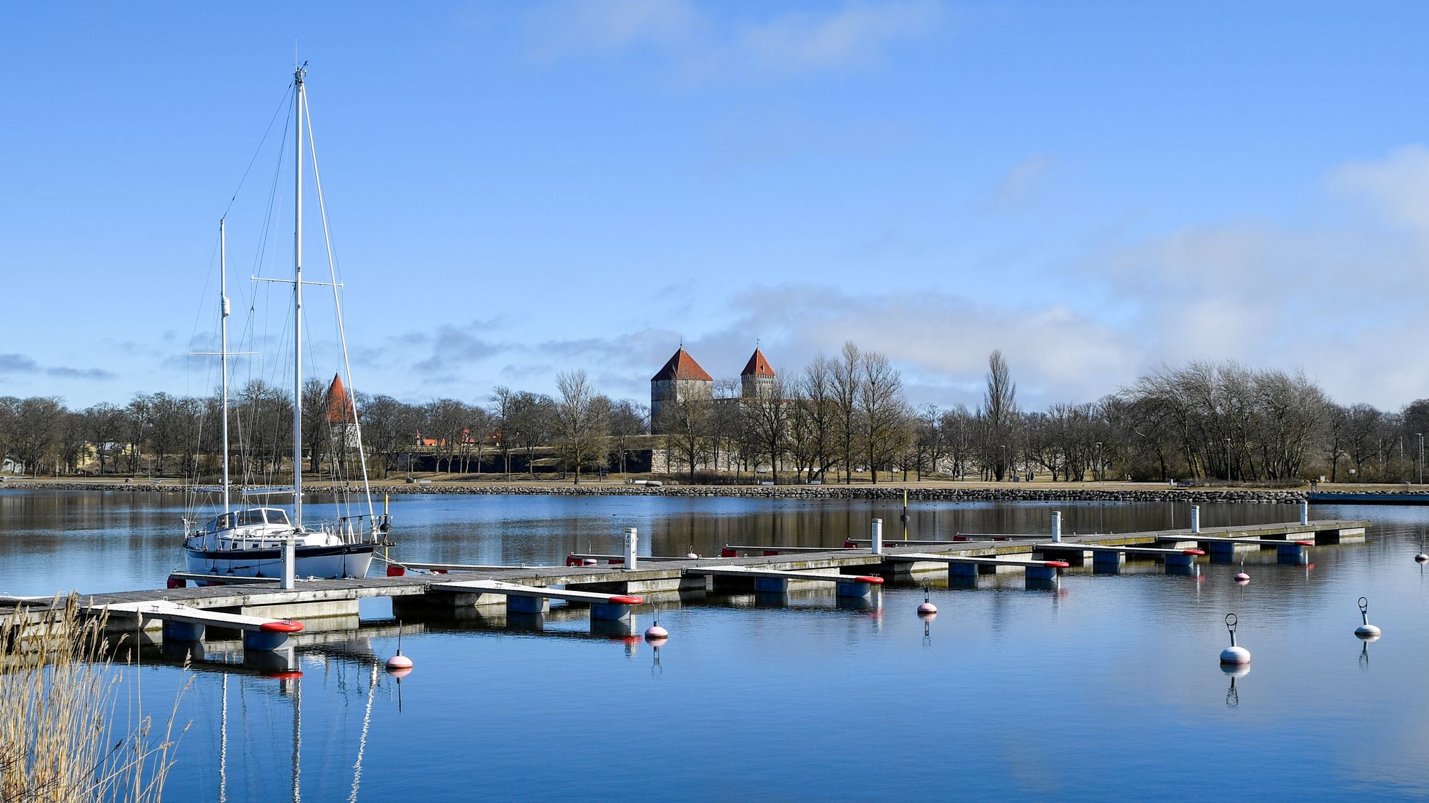 Narva
