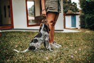 一个人和一只小狗在后院的草地上站着，展示着他们的友谊