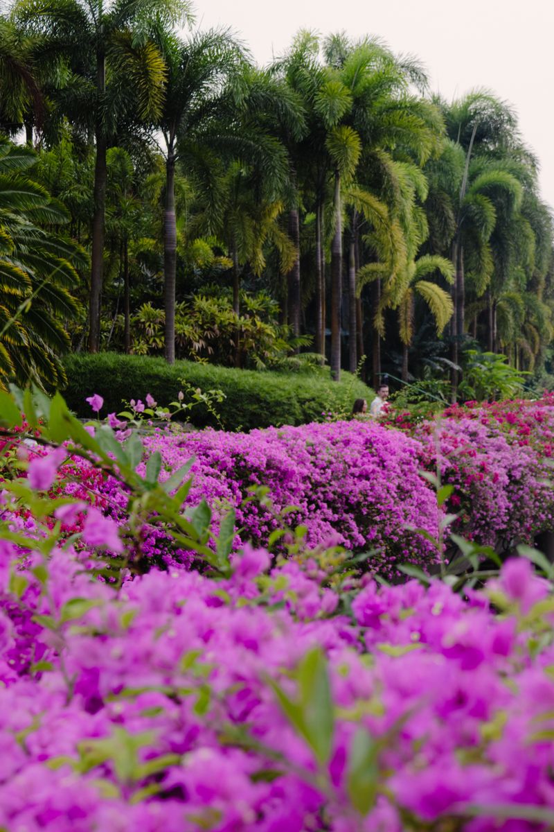 Luxury home exterior with travertine paver driveway and manicured entry, representative of Wailea paver projects