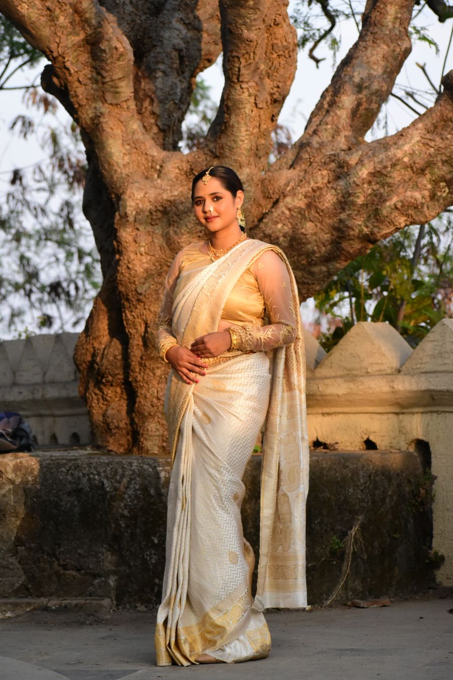 Gold-Border Silk Saree
