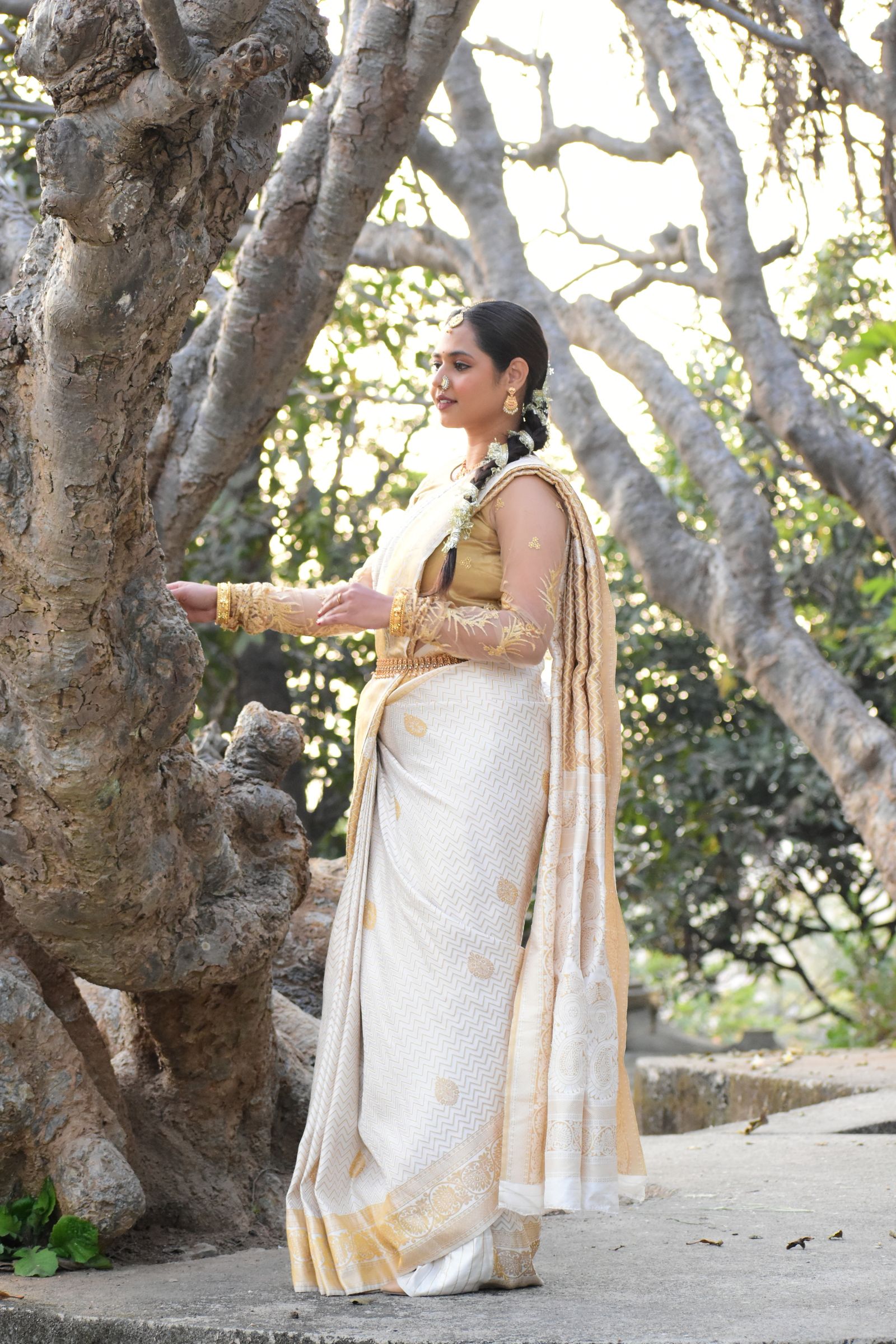 Elegant Woman in Traditional Saree Outdoors · Free Stock Photo