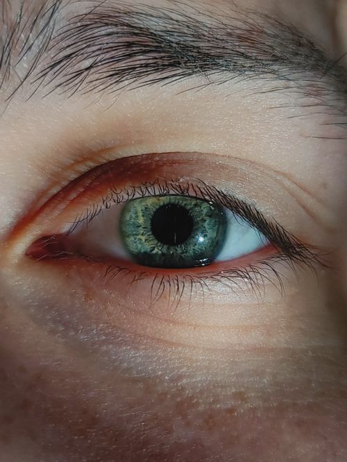 Free Detailed close-up of a green iris showing intricate patterns and eye textures. Stock Photo