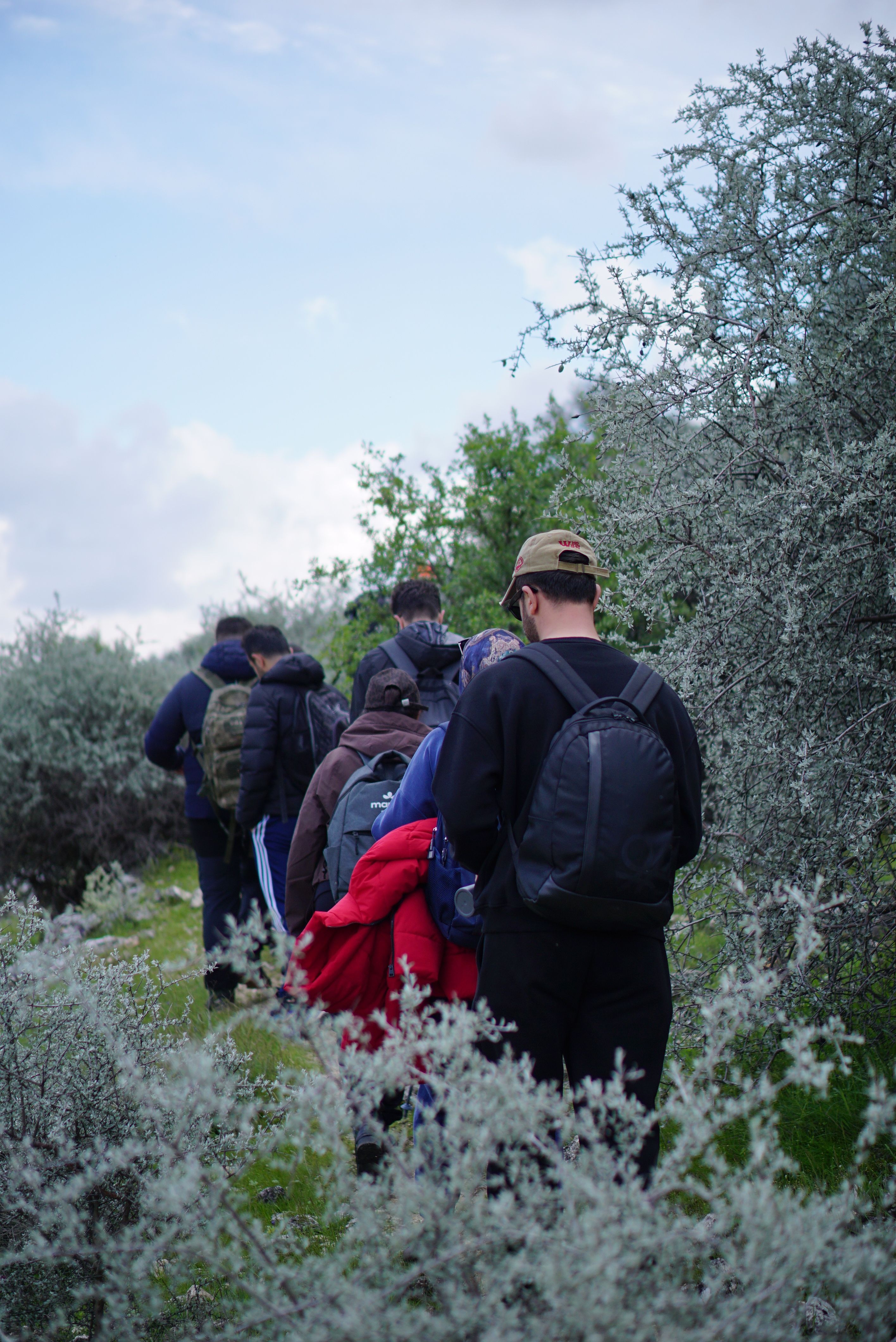 Group Hiking Through Lush Scenic Trail · Free Stock Photo