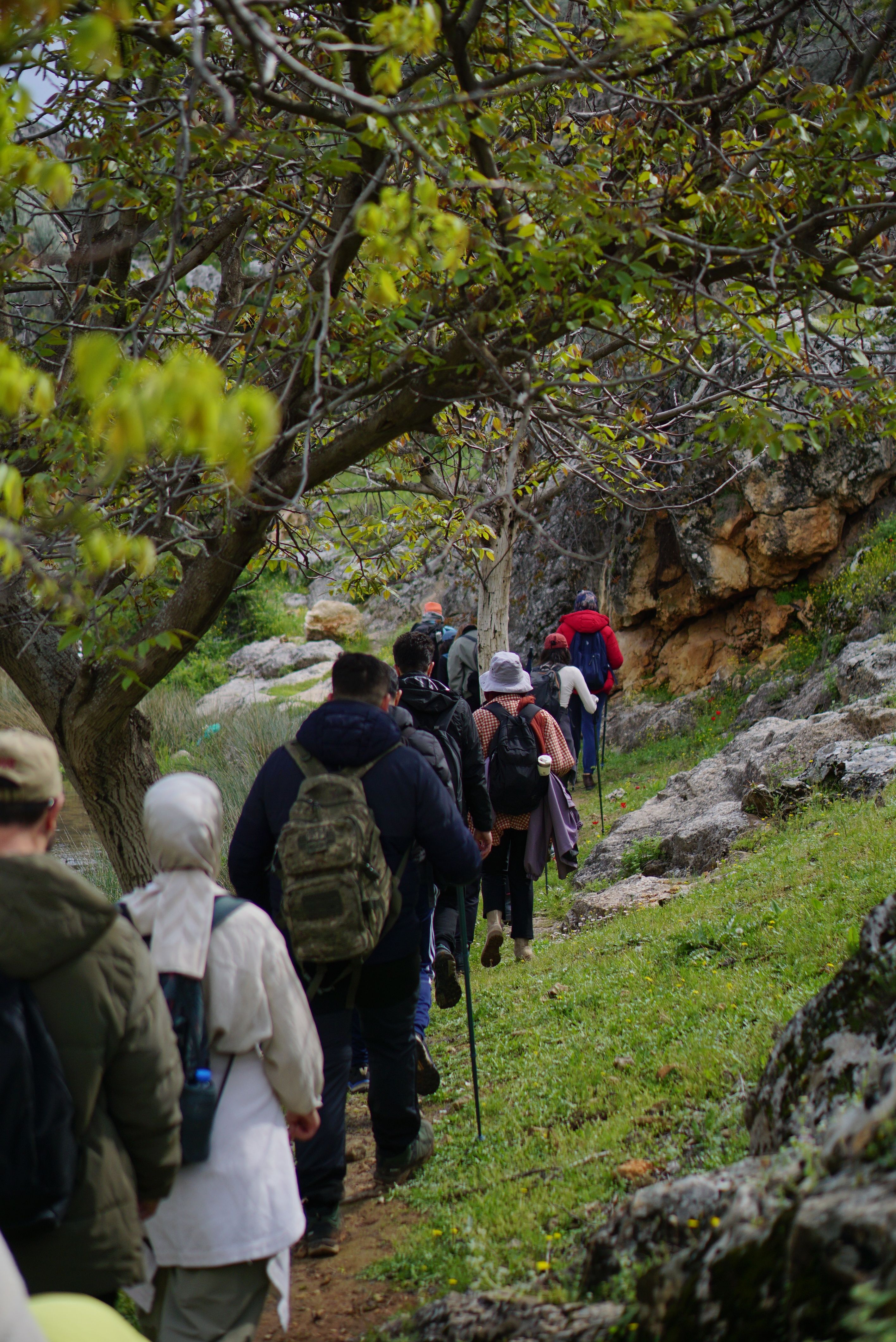 Group Hiking in Scenic Mountain Trail · Free Stock Photo