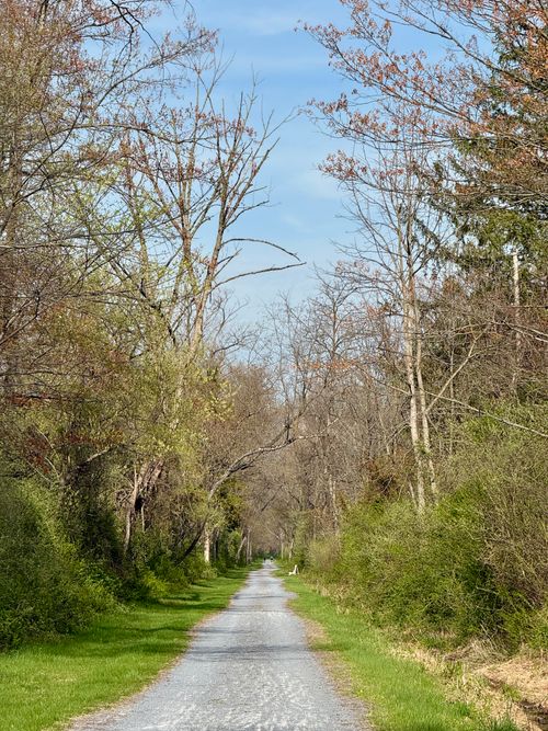 Free A serene gravel path winds through a lush forest, capturing the essence of a spring day. Stock Photo