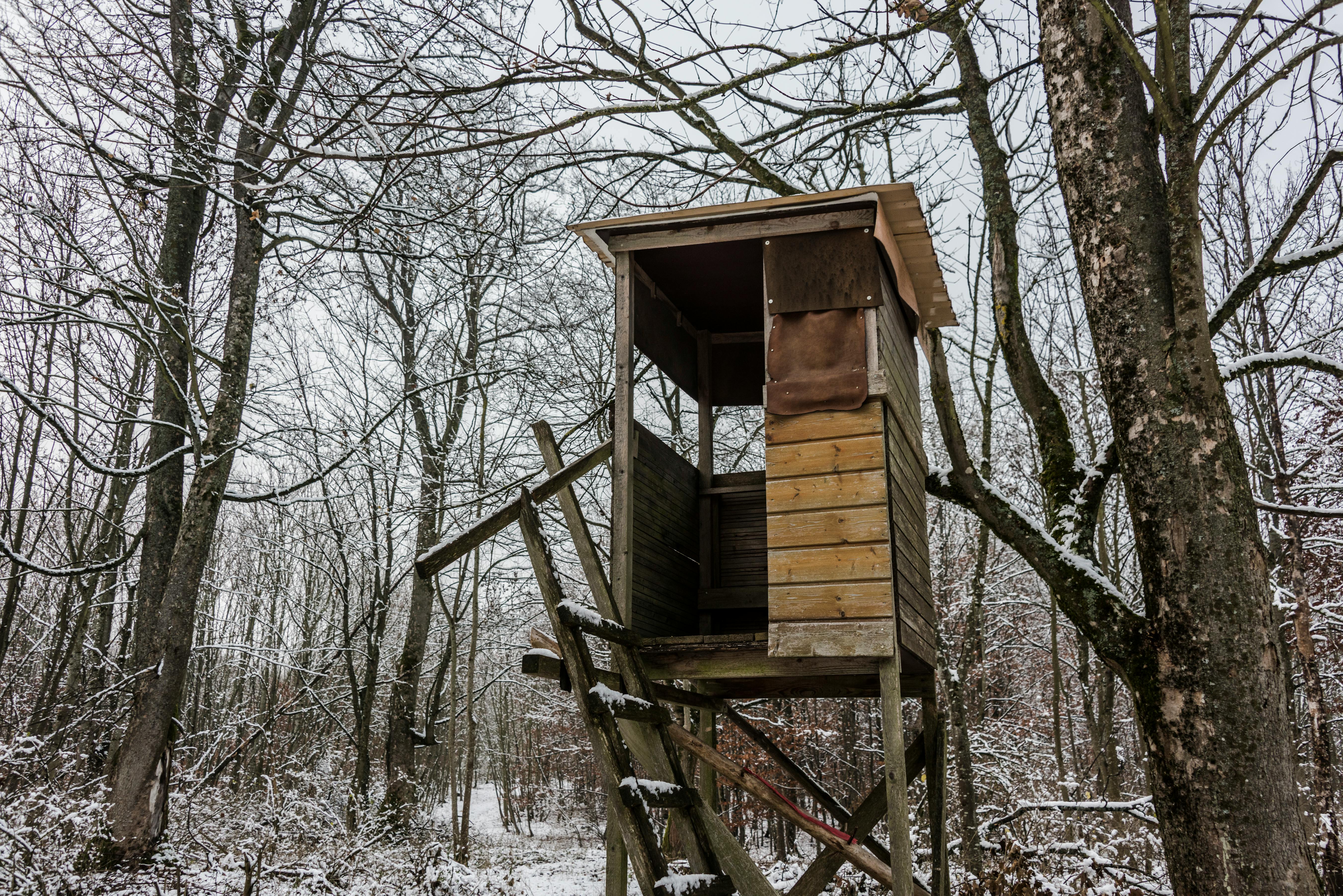 brown wooden tree house on snow covered ground