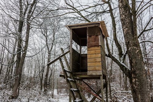 Rumah Pohon Kayu Coklat Di Atas Tanah Yang Tertutup Salju