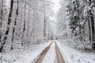 积雪覆盖着宁静的森林小路，营造出静谧的冬日景象