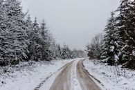 在德国艾伦，一条宁静的雪道蜿蜒穿过冬季的霜冻森林
