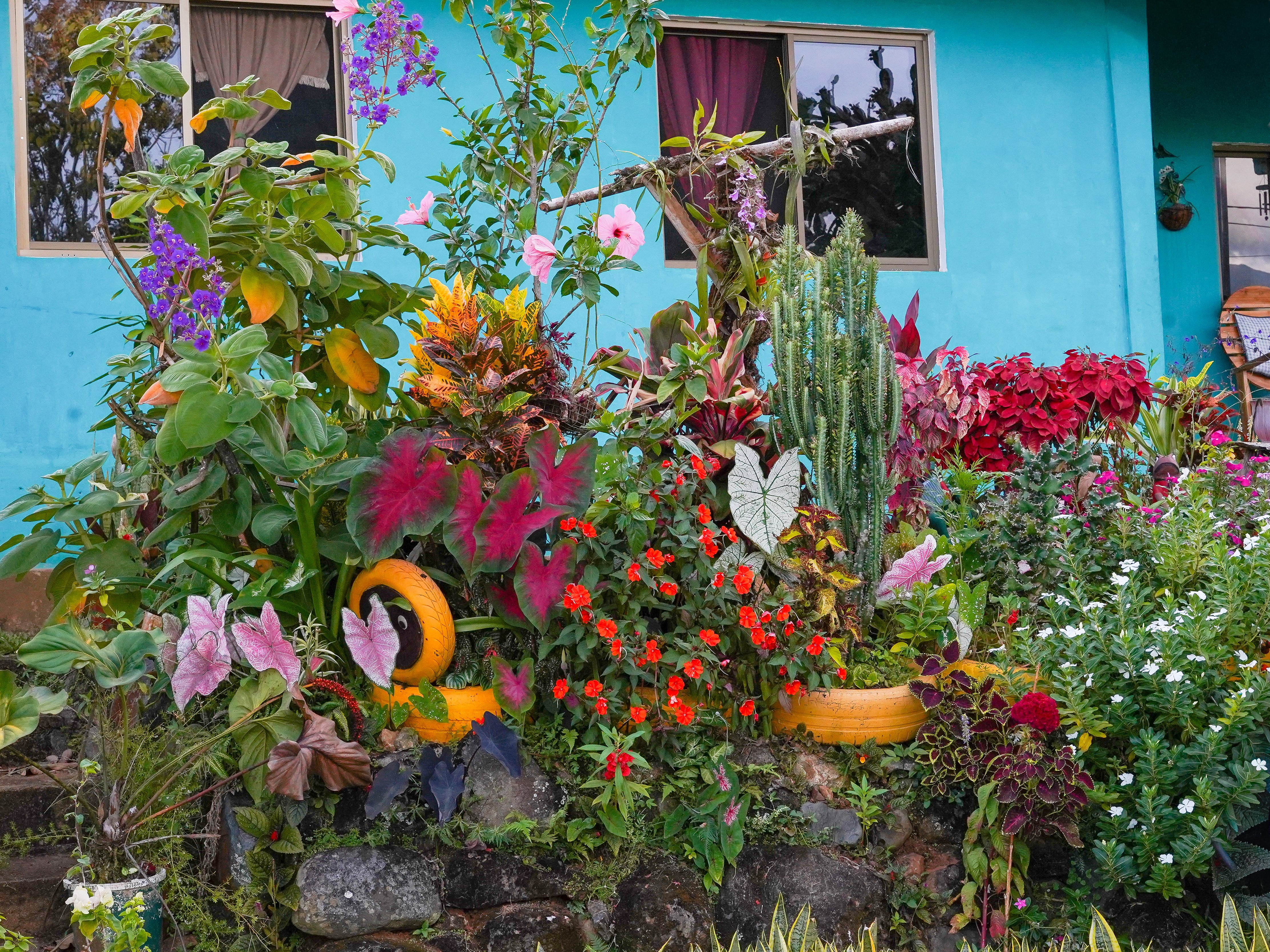 gardening ideas — Photo by Lucas Da Costa on Pexels