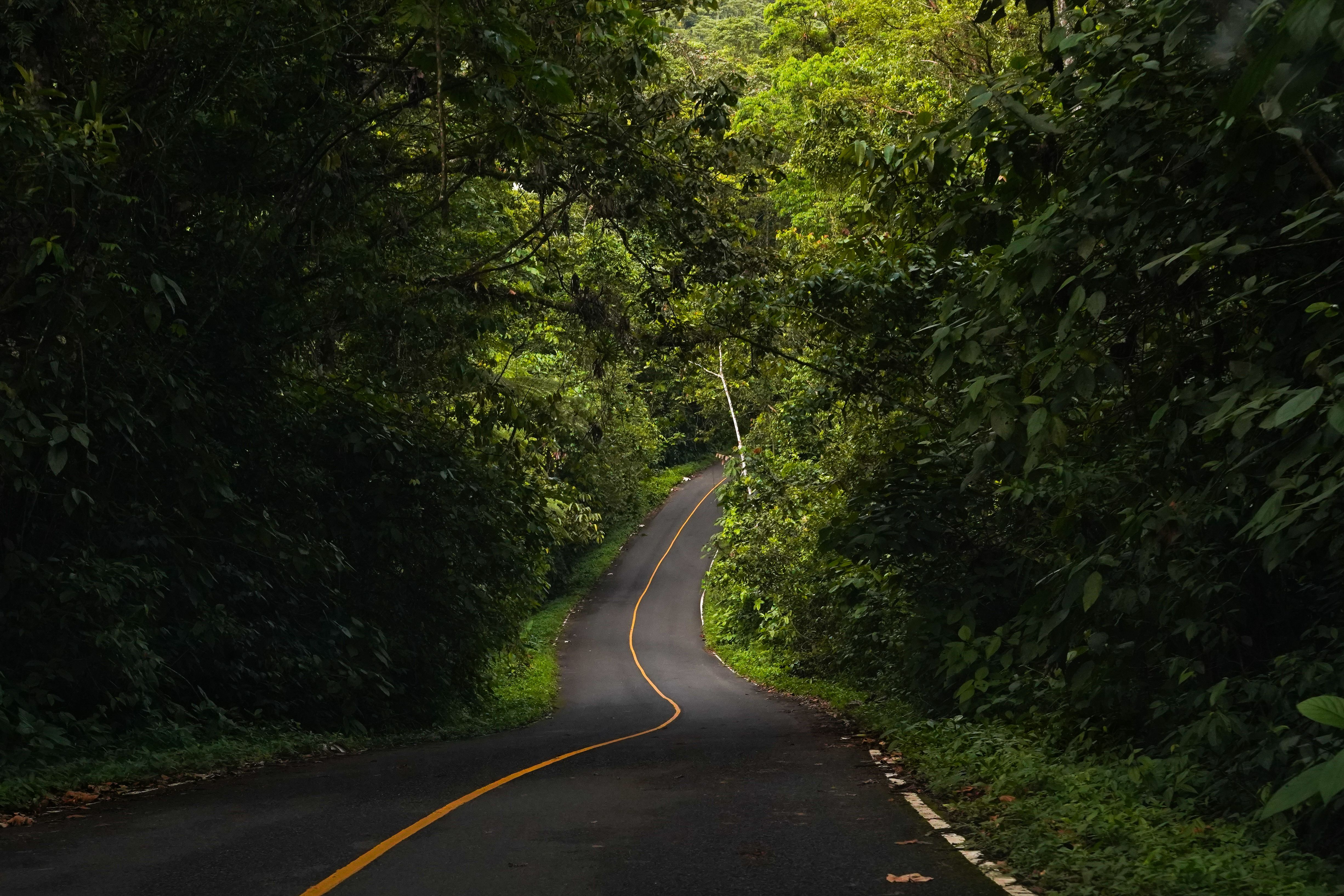 La Fortuna, Costa Rica Budget Travel Vlog | Arenal Volcano, Rio Celeste, Hot Springs (mvPNQ7sDJS) — Photo by Lucas Da Costa o
