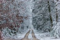 德国亚伦森林里，一条宁静的雪道展现了冬天的美丽