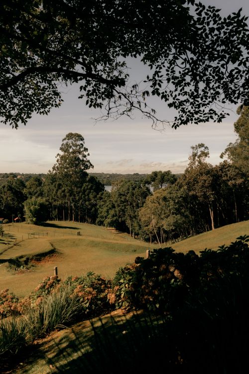 Free Scenic view of a countryside landscape with lush trees and open fields under a clear sky. Stock Photo