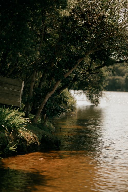 Free Peaceful riverside scene with trees and reflections, perfect for nature and travel themes. Stock Photo