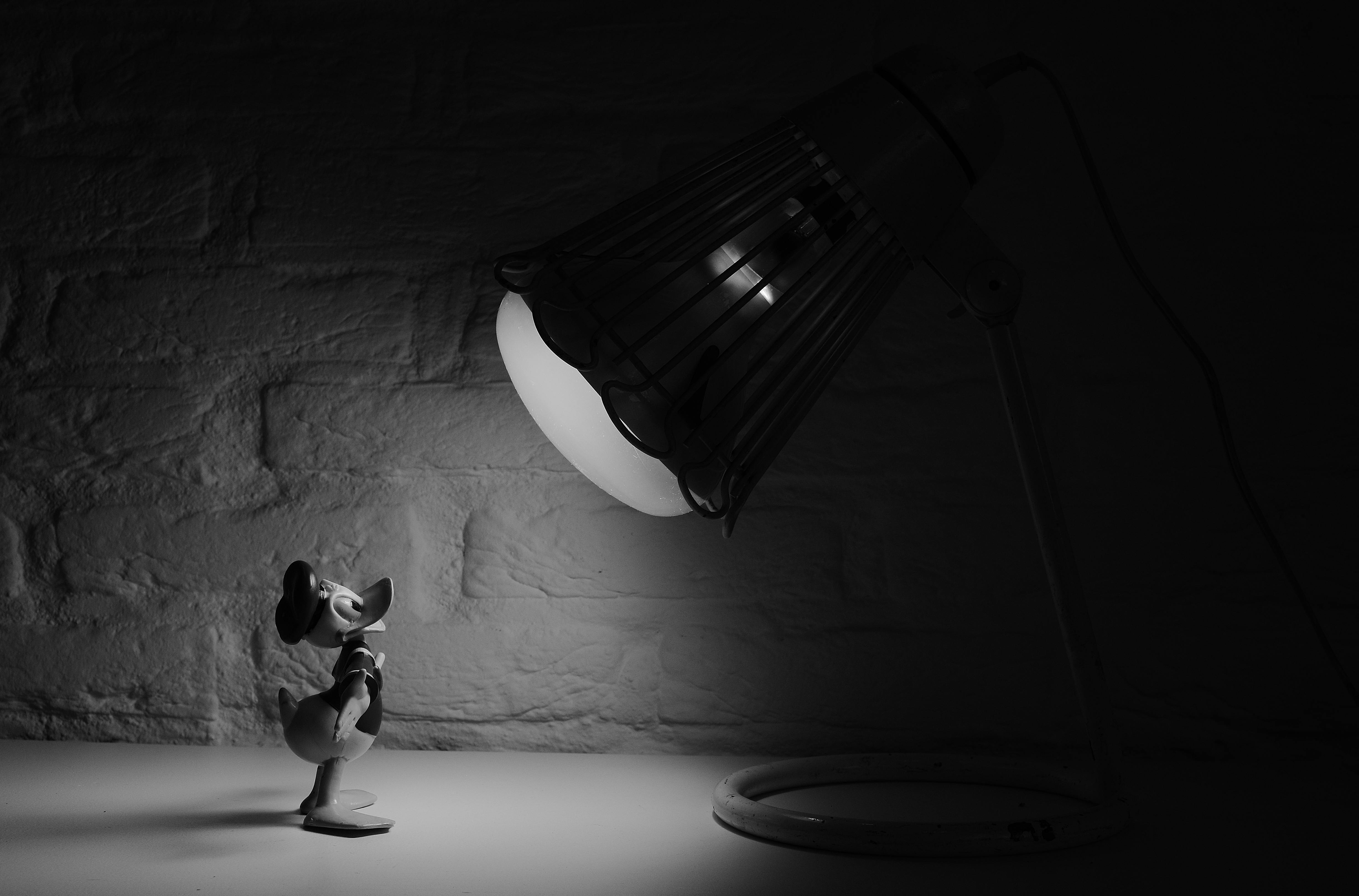 Grayscale Photography Of Donald Duck In Front Of Lamp Free