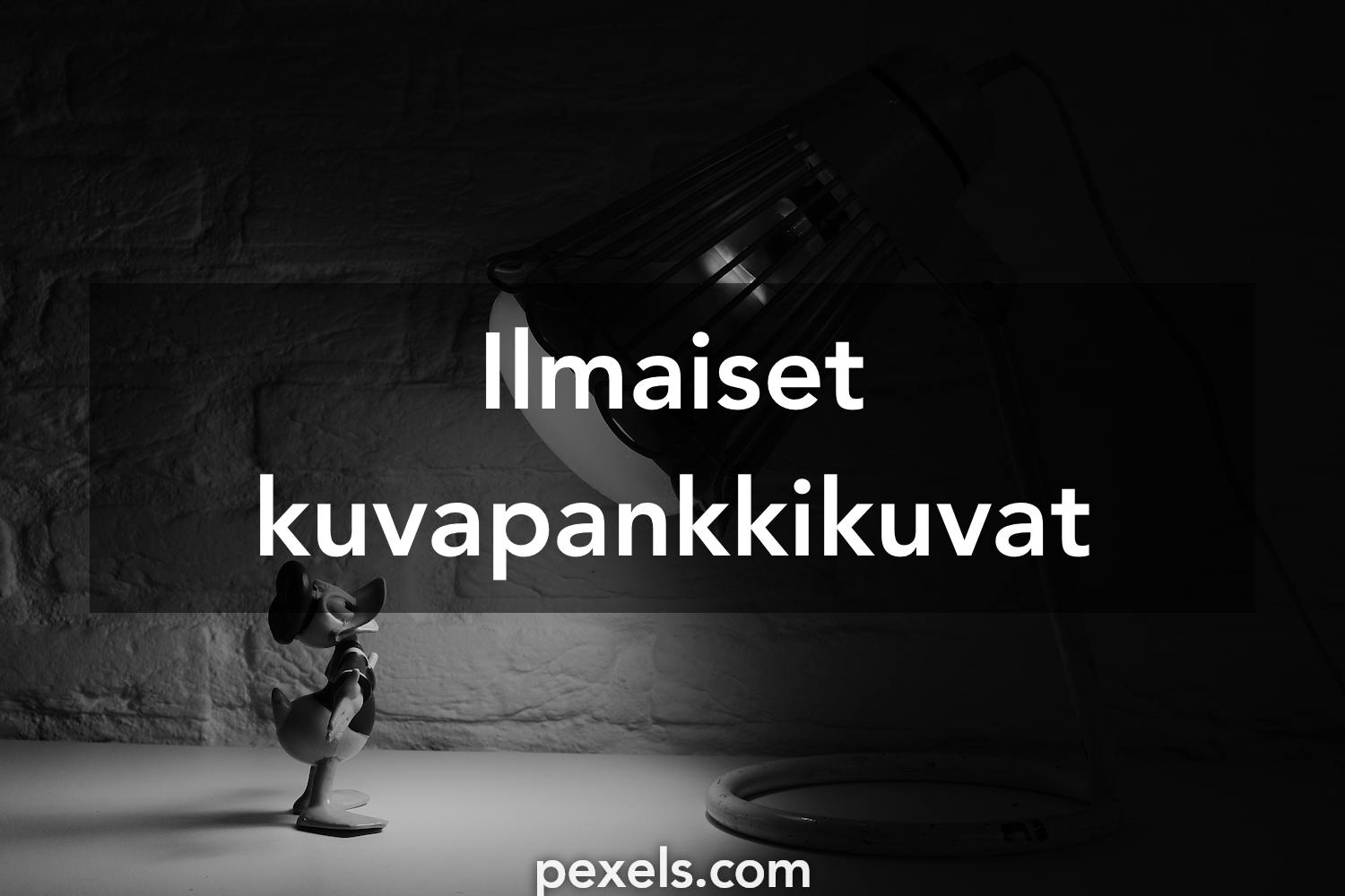 3 000+ parasta kuvaa aiheesta Aku Ankka · Täysin ilmainen lataus ·  Pexels-kuvituskuvapankkikuvat