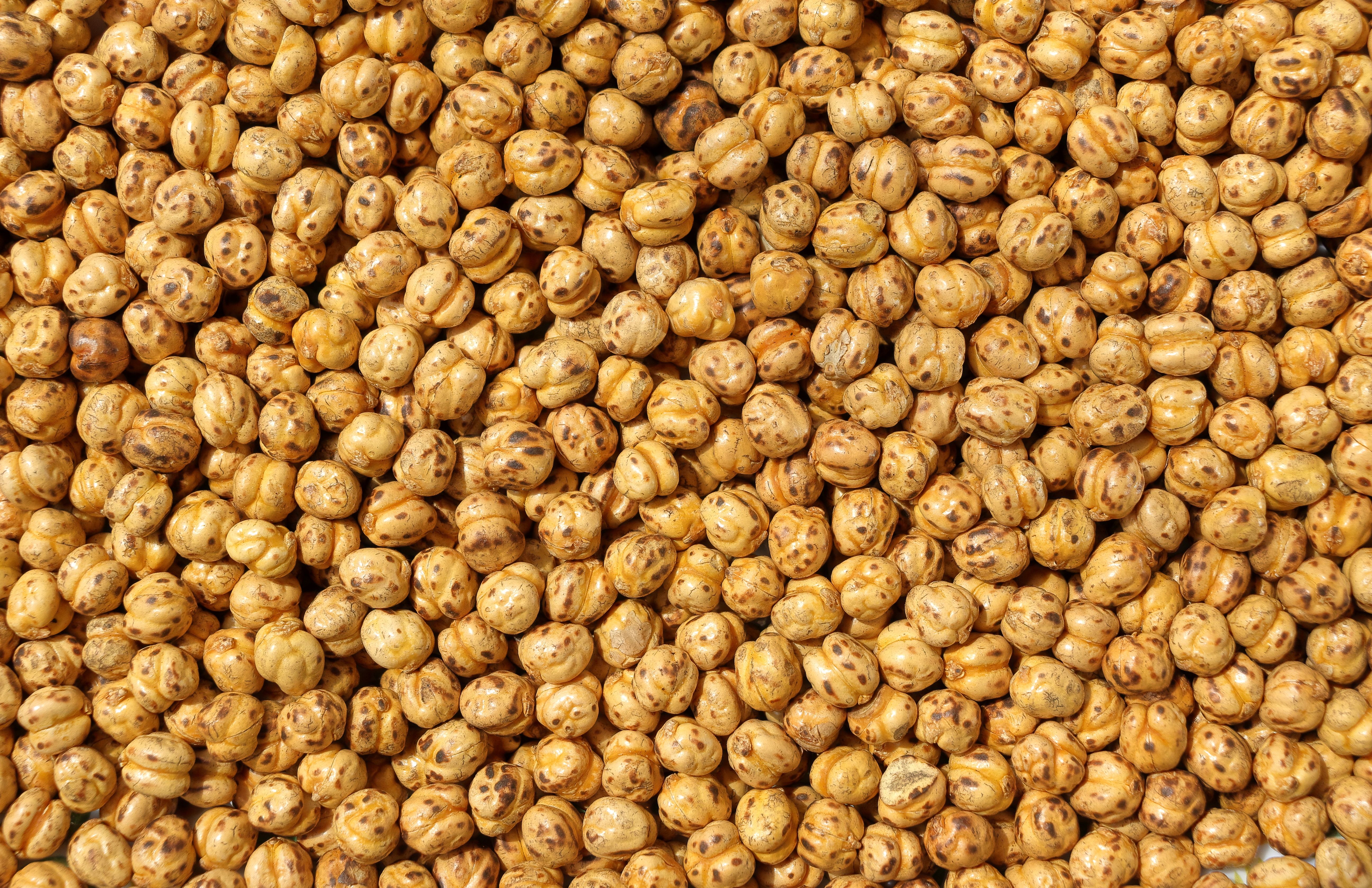 Complete Protein Snacks: How to Build Muscle Without Full Meals