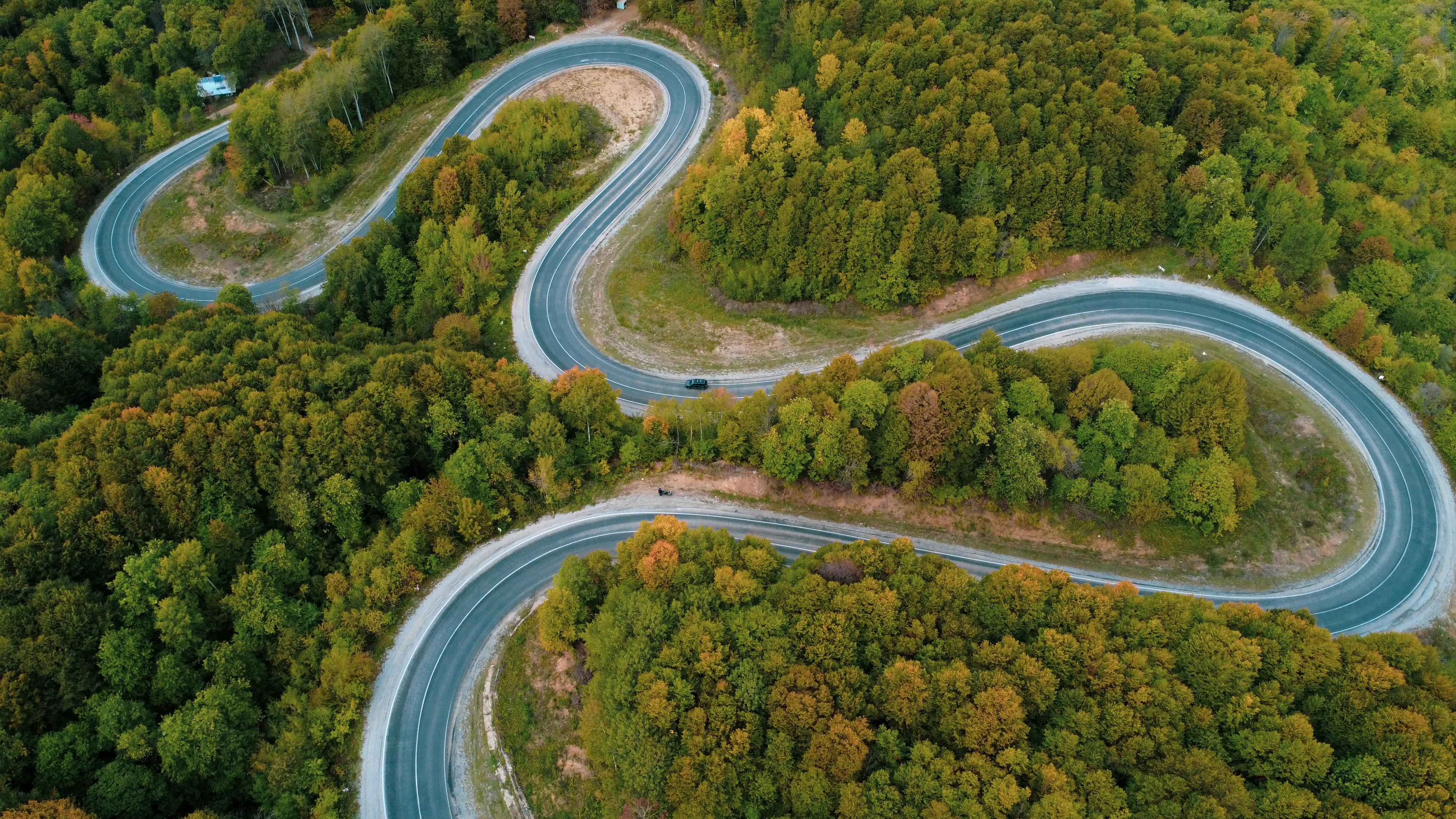 Emerging Growth Patterns Driving Expansion in the Workflow Automation and Optimization Software Market — Photo by Yusuf Yılma