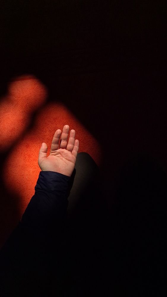 Catching Light Photos, Download The BEST Free Catching Light Stock ...