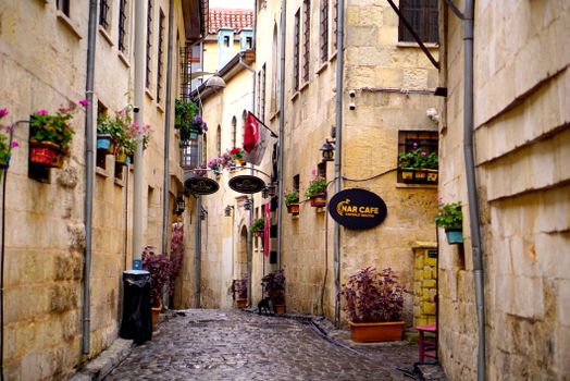 Cobblestone alleyway in Gaziantep, Türkiye, lined with cafés and vibrant flowers.