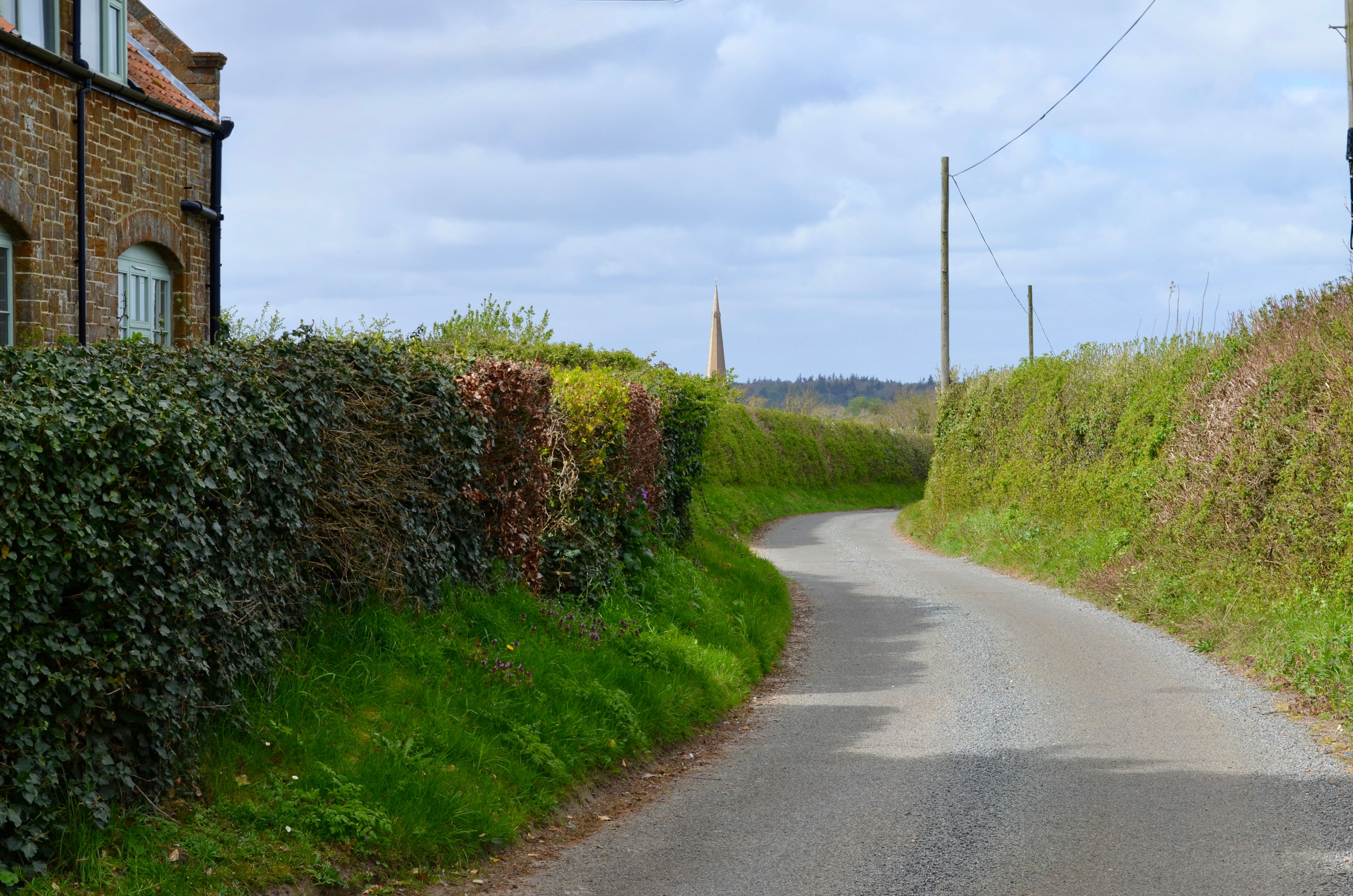 Charming countryside road flanked by stone house and lush hedgerows under a cloudy sky.