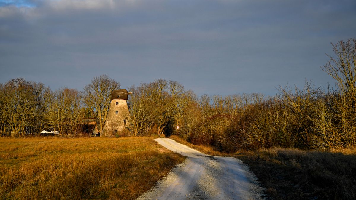 Moara de vant din calcar pe un drum de pietris in Saaremaa