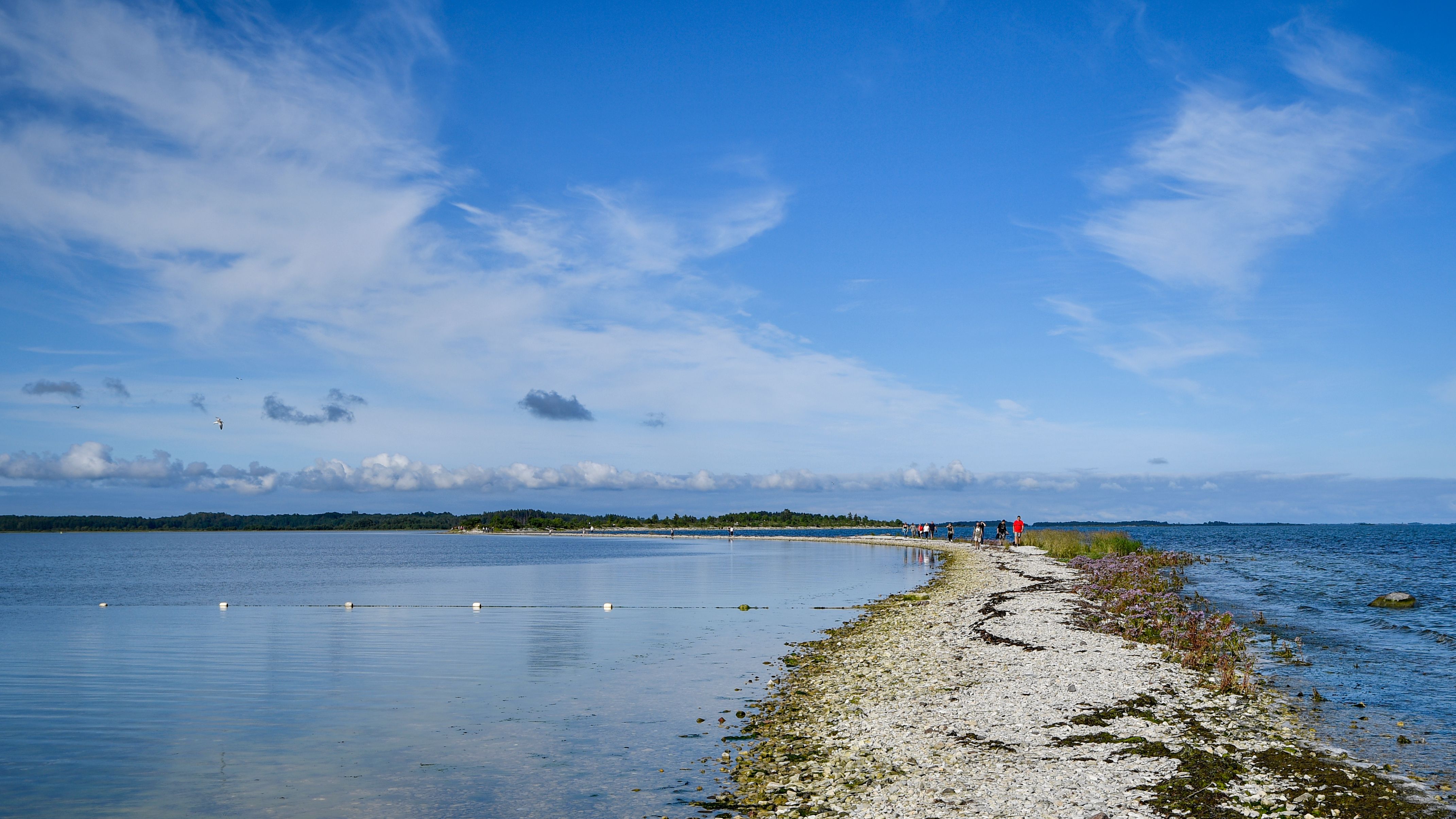 Drive or cycle the Sõrve peninsula