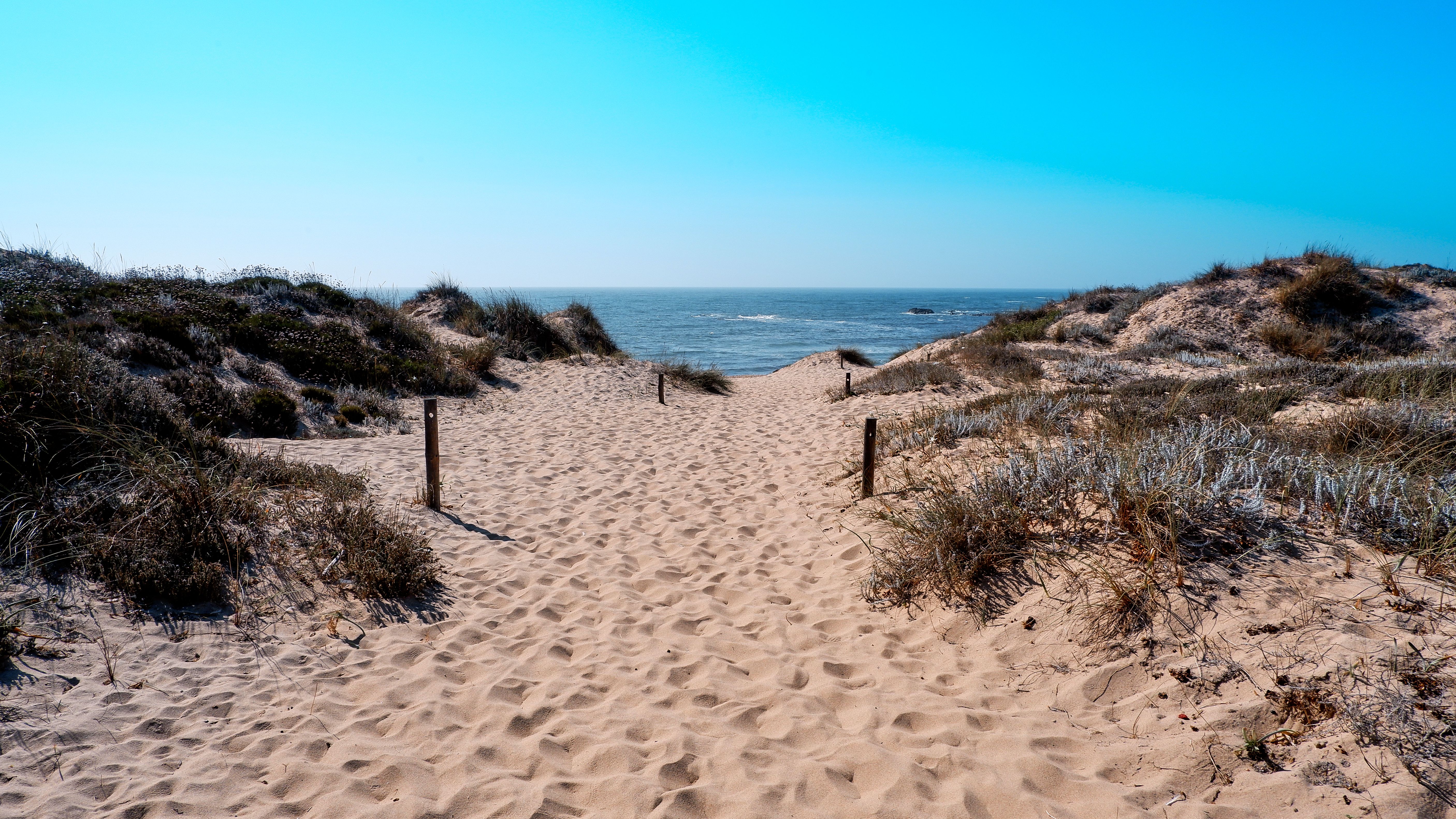 Sandy path winding through grass toward the Atlantic Ocean on Portugal's Alentejo coast