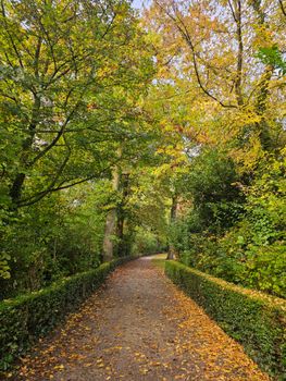 A serene autumn path in Bruges, Belgium, surrounded by lush trees with golden leaves.