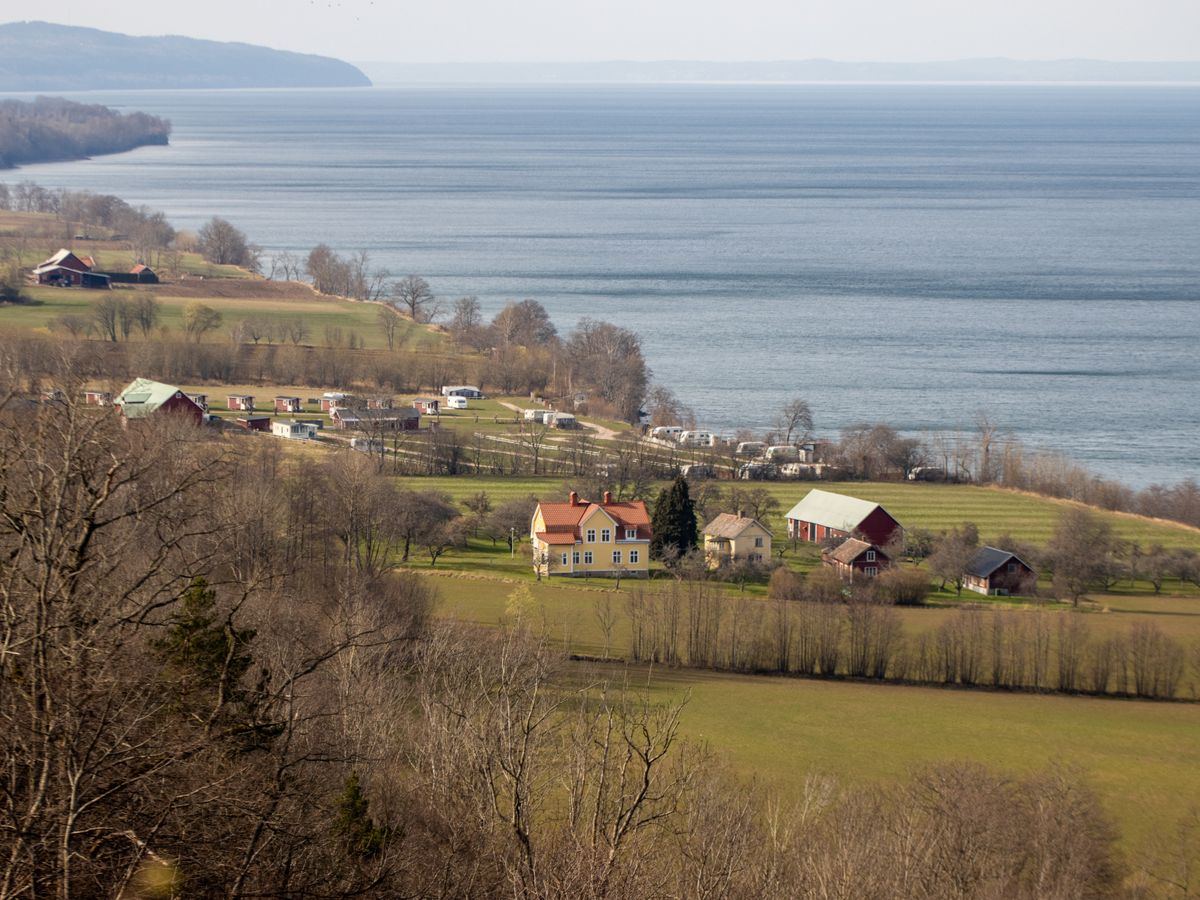 4 Day Inner Evolution Master Plants Retreat in Sweden 3