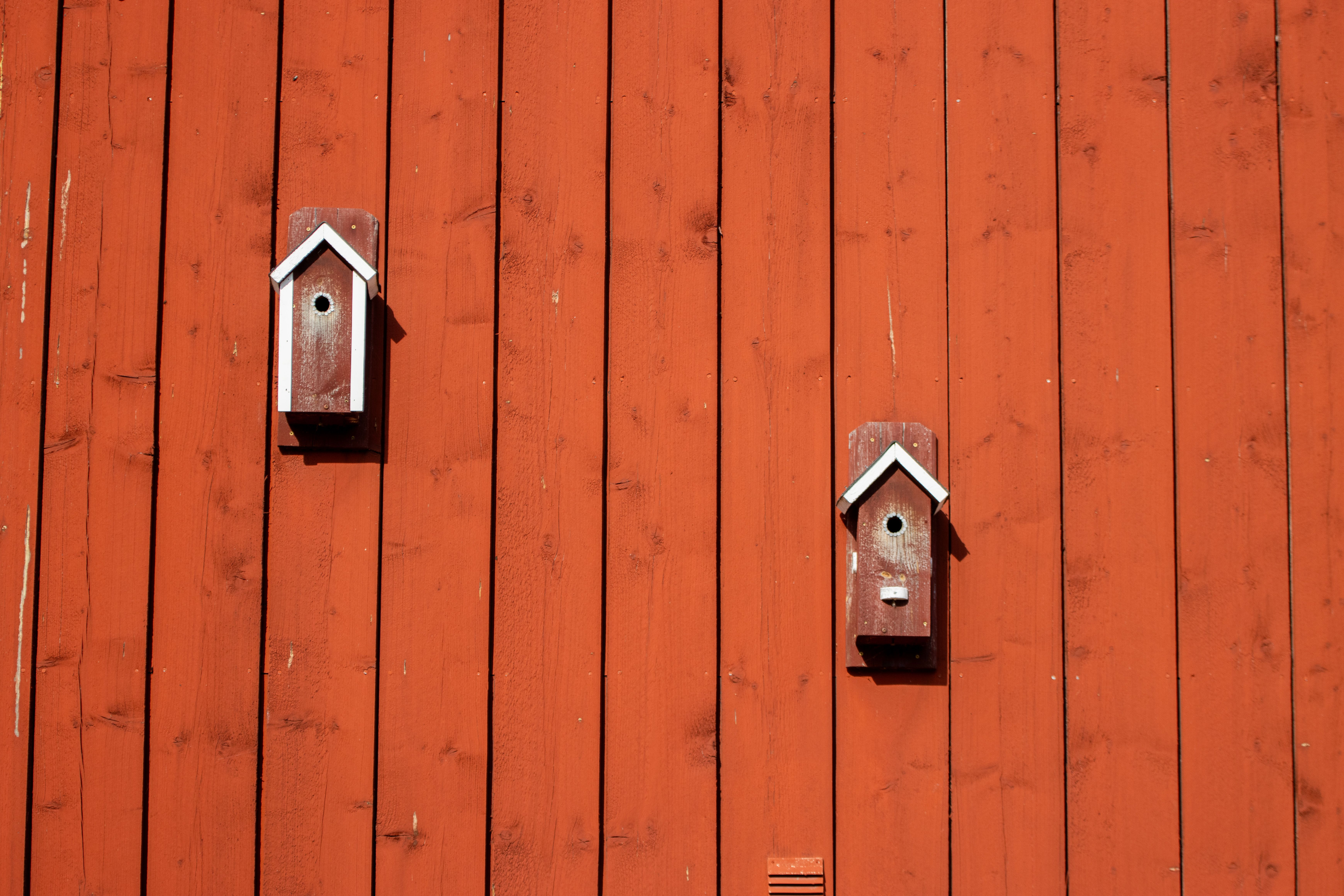 Fence and Decking Painting in Blendon — a freshly painted, spotless finish