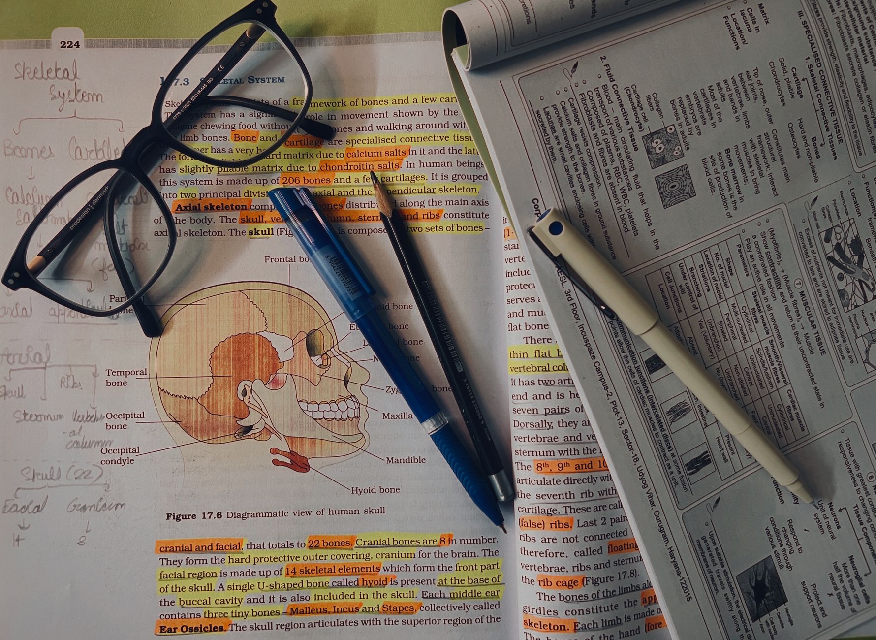 L'Arte e la Scienza dei Contenuti Visivi - Ottenere Coinvolgimento e Risultati Misurabili