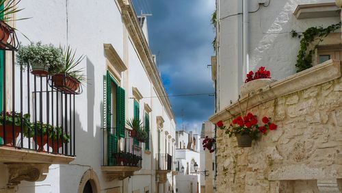 Free Vibrant flowers adorn balconies in the whitewashed streets of Ostuni, Italy, under a dramatic sky. Stock Photo