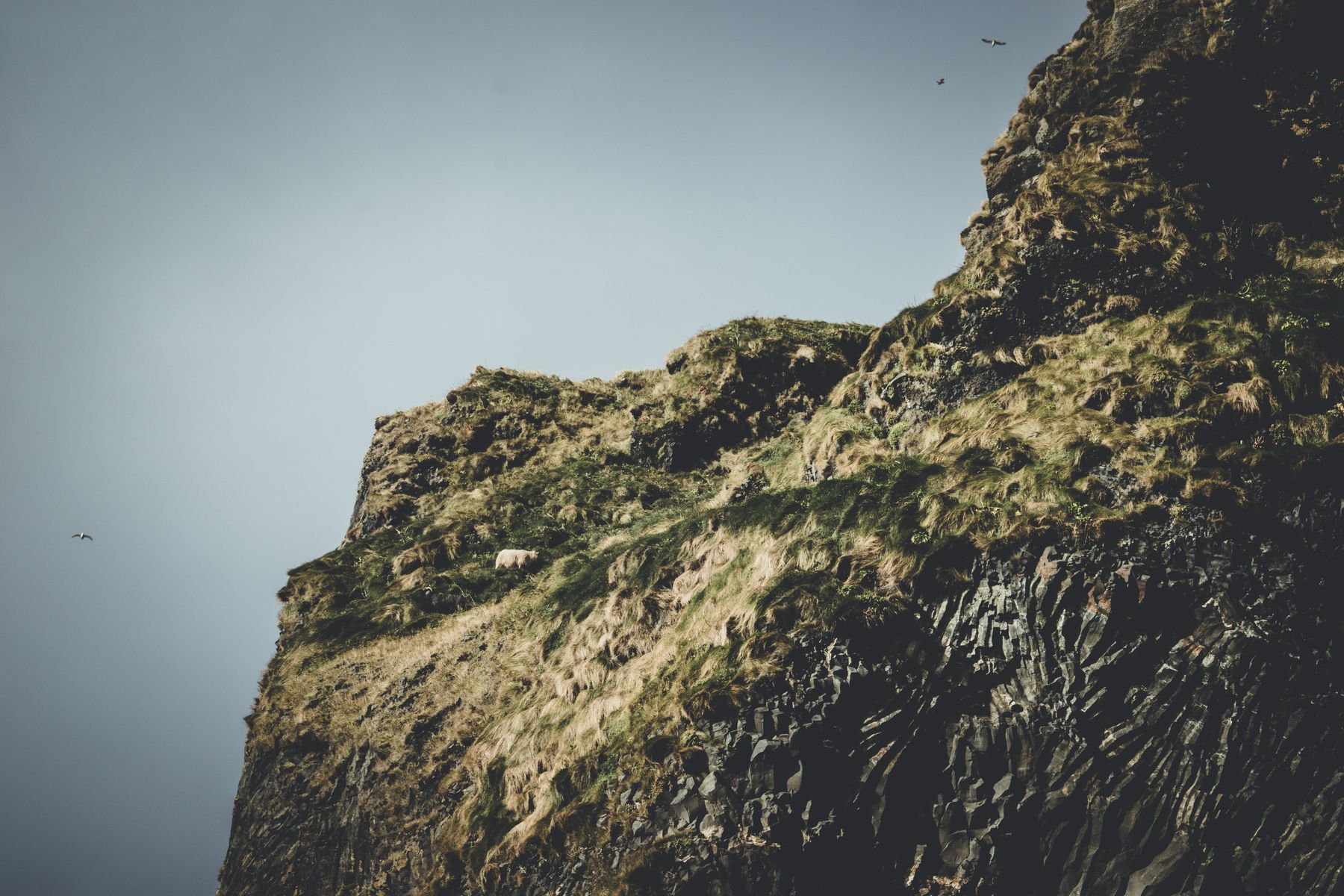 Four Days in Vík: A Practical Base for Iceland's South Coast