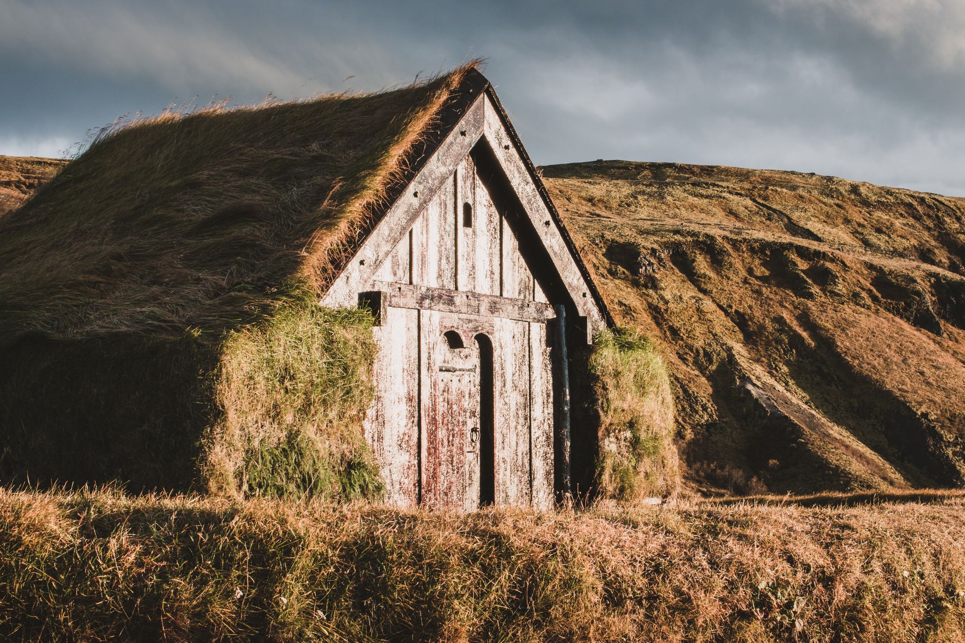 Dog on a porch overlooking Icelandic countryside