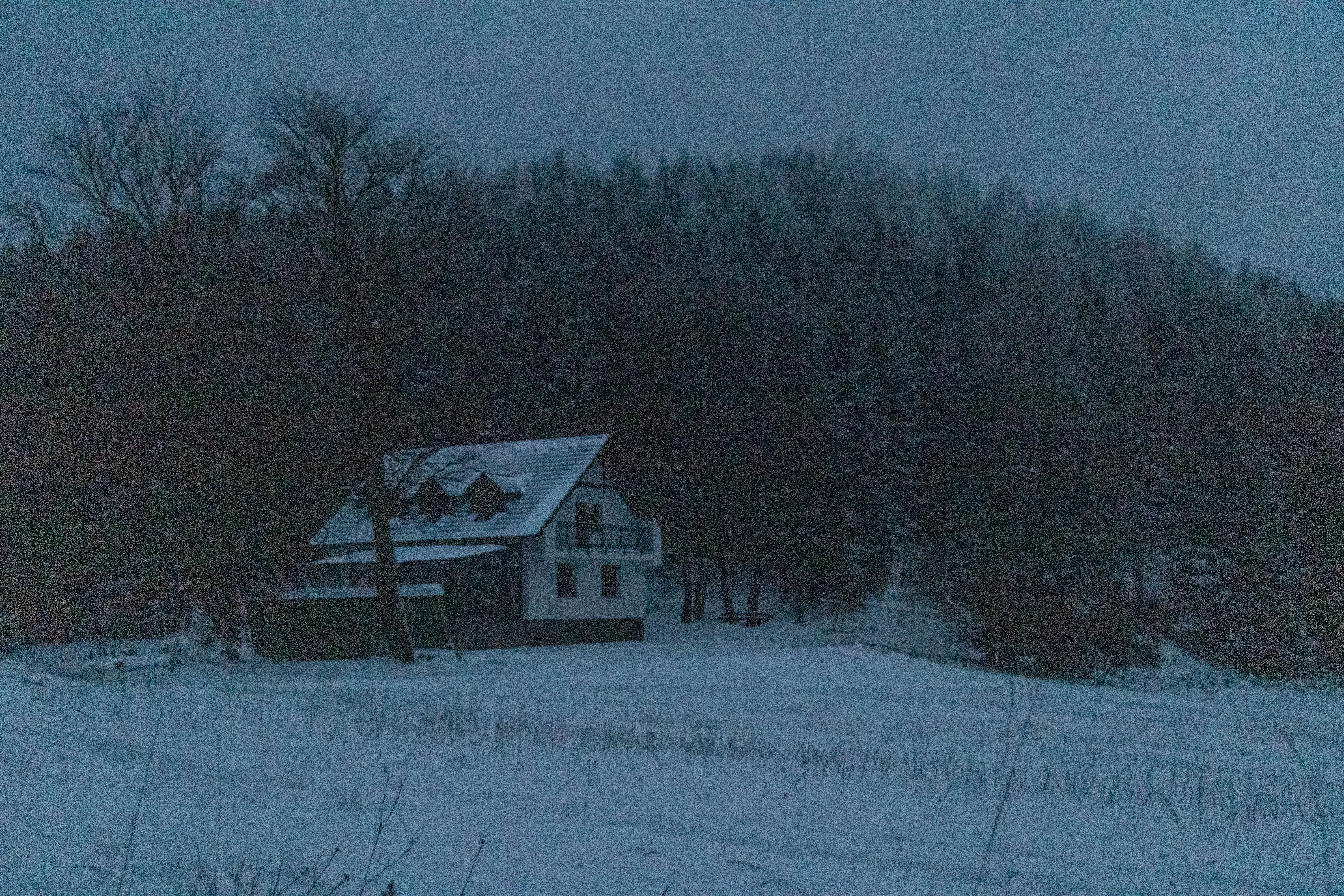 nasz nowy dom