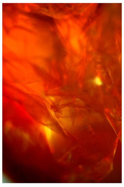 Explore a dynamic abstract composition with vibrant red and orange hues creating a warm, energetic feel.