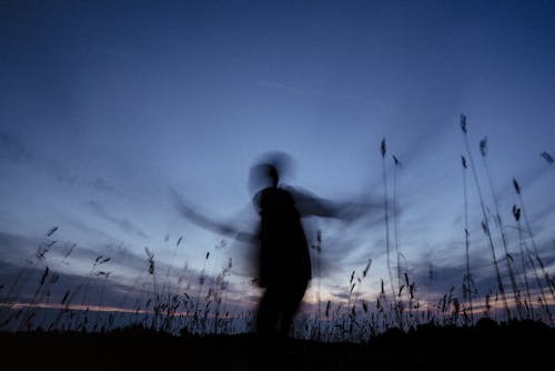 Free Silhouette of Man Standing on Grass Field during Night Time Stock Photo
