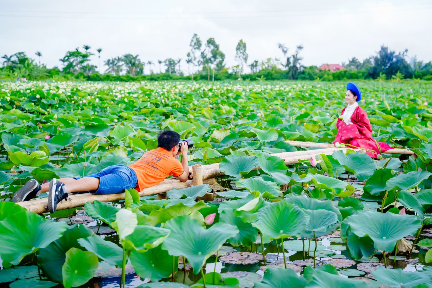 Thanh Long Bùi - Photography