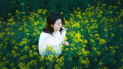 Free A woman in a white shirt stands amidst blooming yellow flowers, embodying serenity. Stock Photo