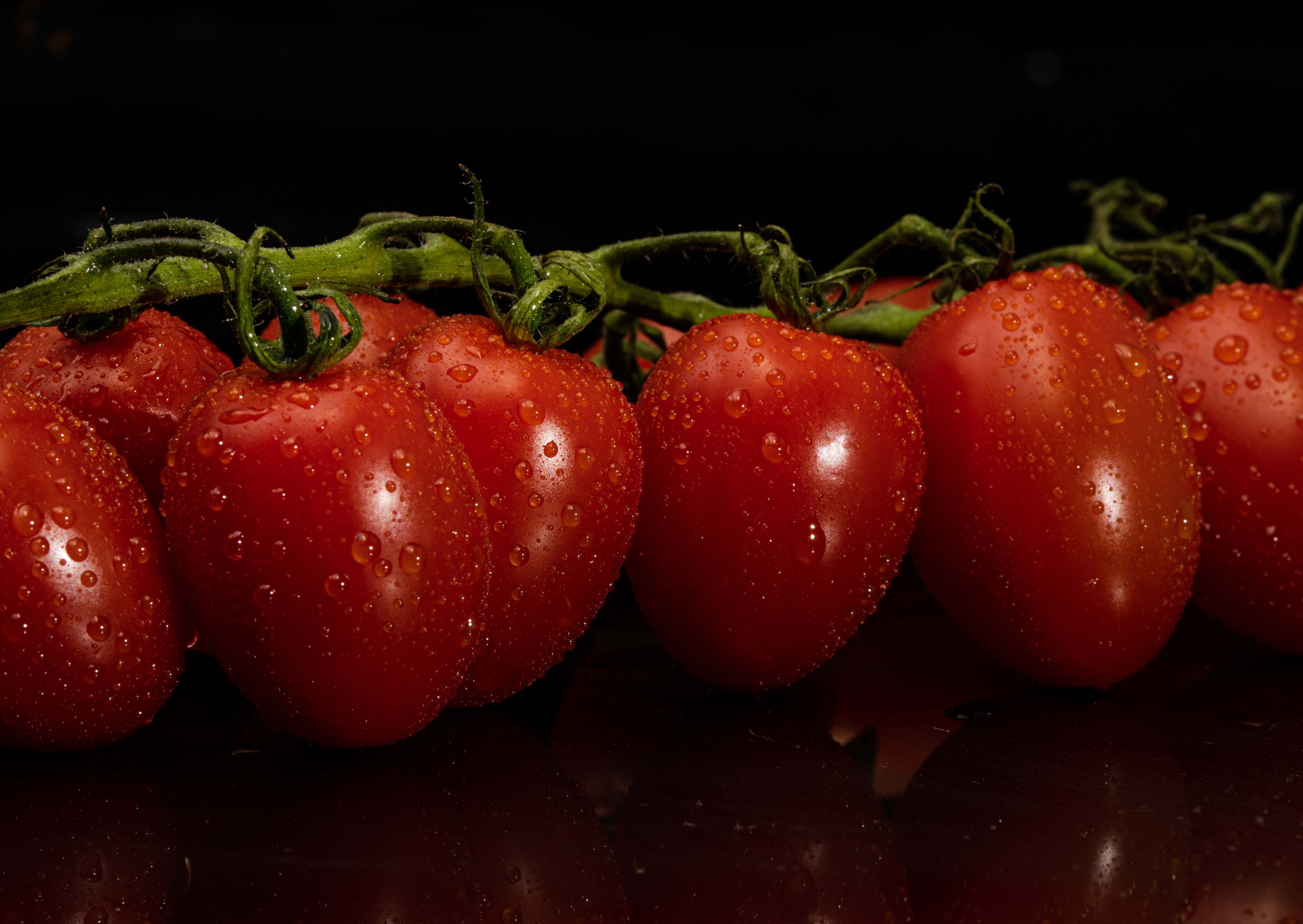 Tomato System Targets U.S. Insurance and Healthcare Markets with Local Subsidiary — Photo by Ray Suarez on Pexels