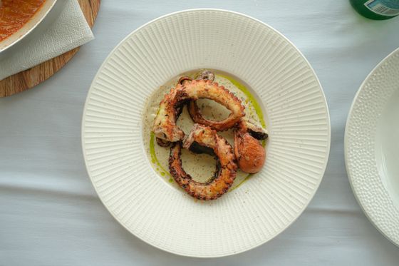 Curled charred octopus tentacles on a pool of green herb oil in a ribbed white bowl