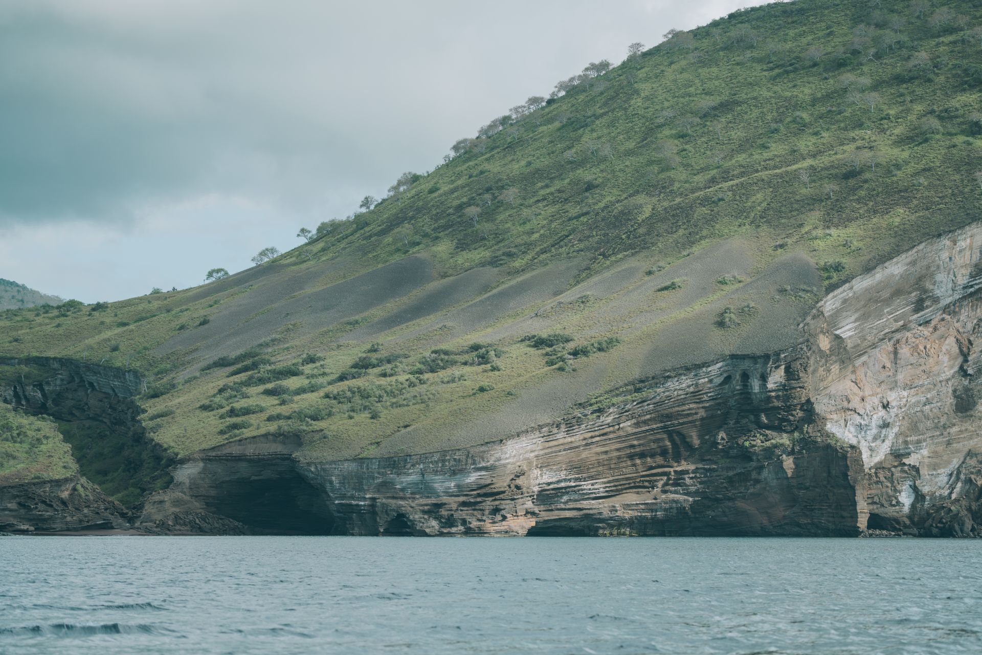 The Best of Galápagos