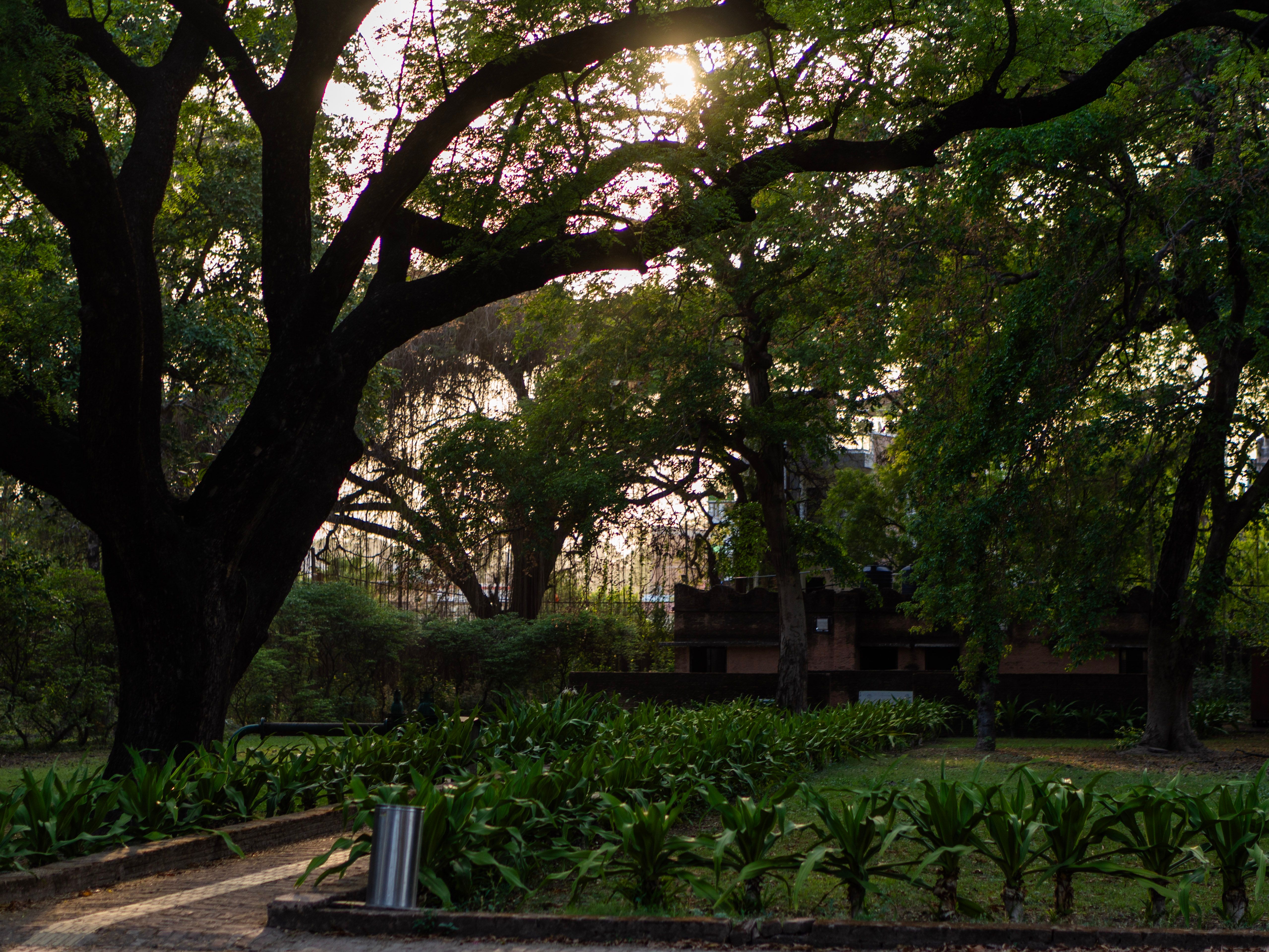 Hanoi Botanical Garden (Vườn Bách Thảo)