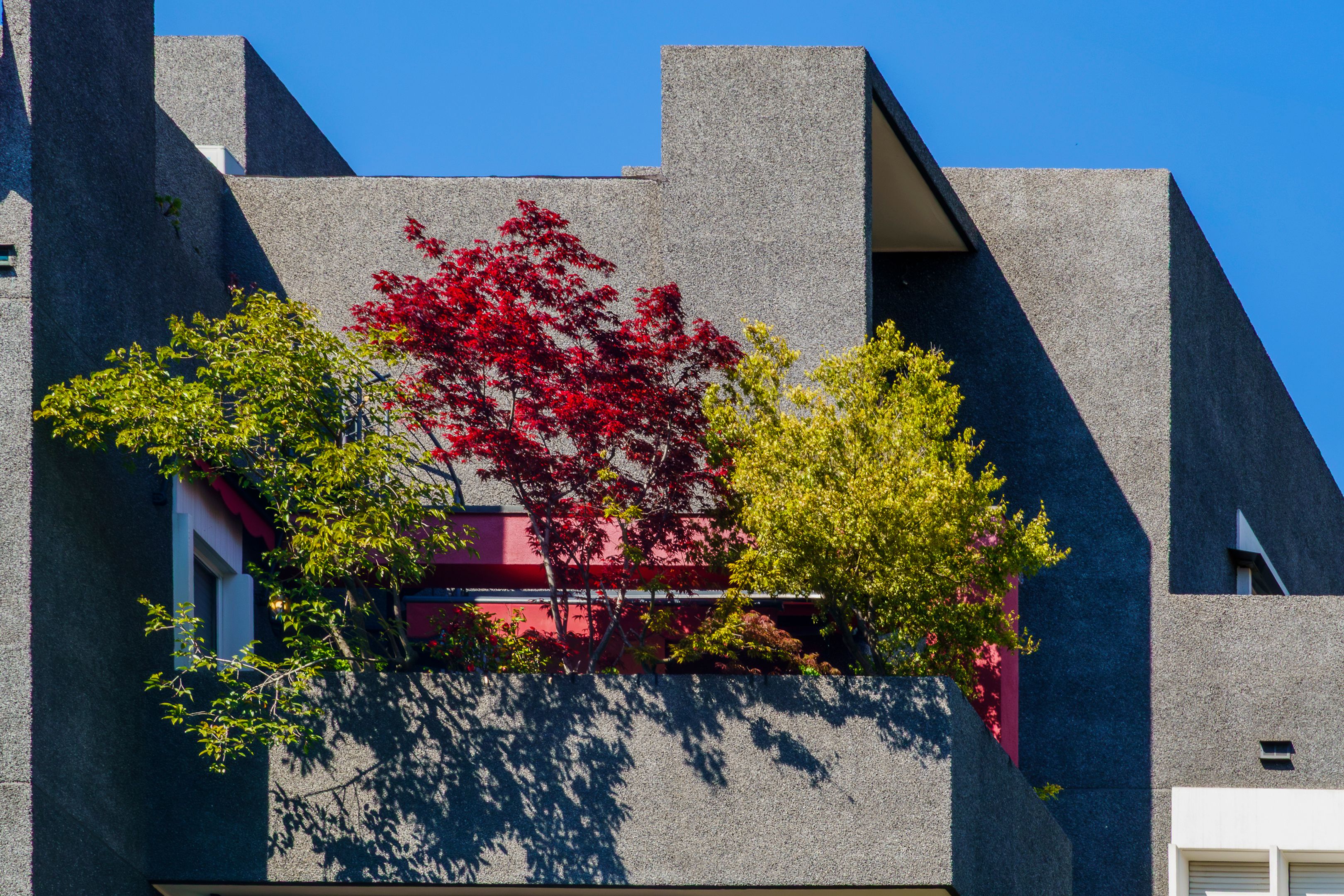 Blu Fish Collaborative, Inc. - Landscape Architects — completed project 2