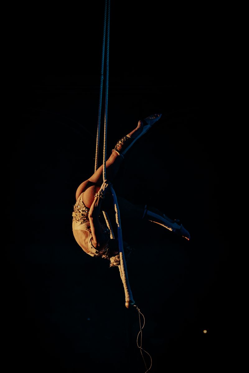 Night Shows